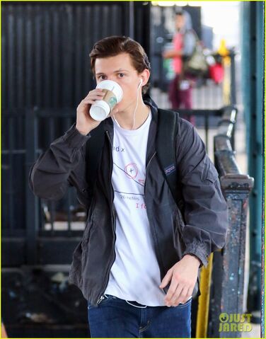 File:Tom-holland-films-spider-man-homecoming-queens-02.jpg