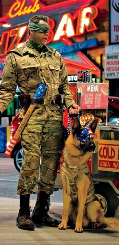 File:Colonel Stars and Stripes.jpg