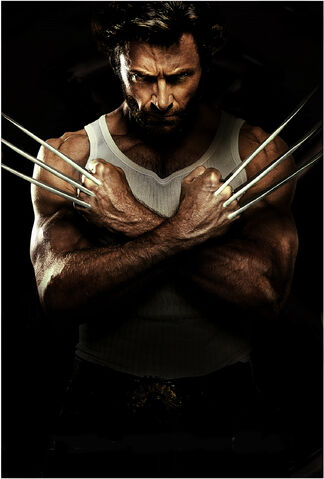 File:Wolverine thumb.jpg