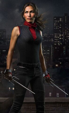 File:Electra MCU.jpg
