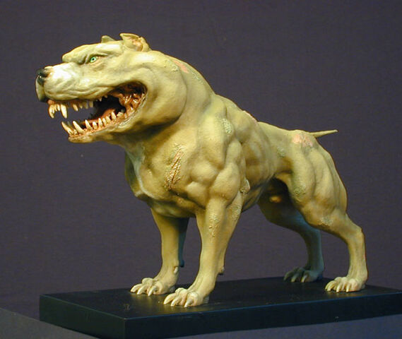 File:Sammy.jpg