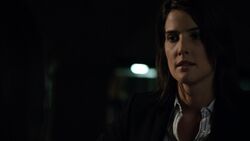 Maria-Hill-speaks-to-Melinda-May-NothingPersonal.jpg