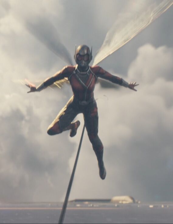 Fichier:4706565-original wasp.jpg