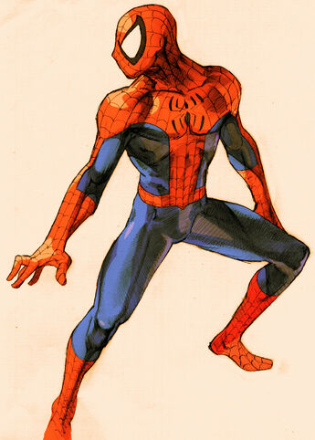 File:Mvc2-spider-man.jpg