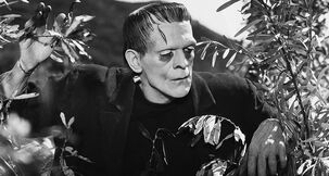 Frankenstein- woods
