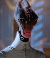Me2maelon.jpg