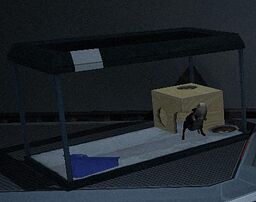 SpaceHamster.jpg