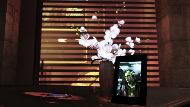 File:Thane pic + flowers.png