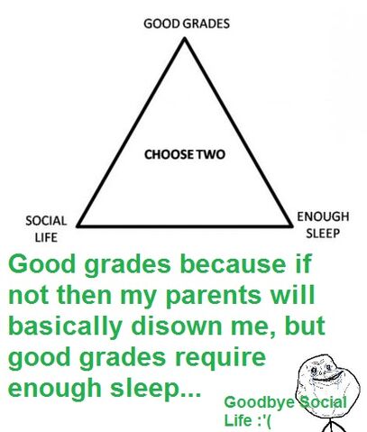 File:Social life.jpg