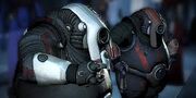 Volus
