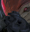 HMWSG inter.png