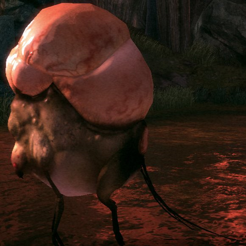 File:Creatures Gas Bag.png