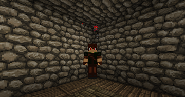 Standing in my house