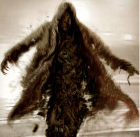 File:406px-Swarm.jpg