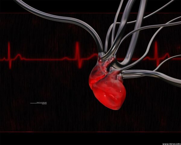 File:Heart-of-the-machine.jpg