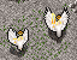 Screenshot AngelArchAngel