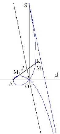Strofoida oblica.png