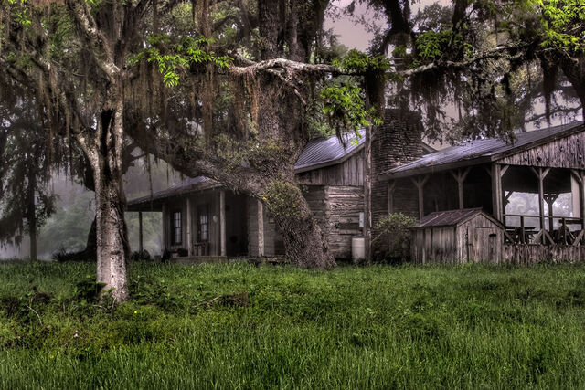 File:Horror-movie-summer-camp-in-the-woods.jpg
