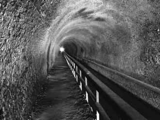 PawPawTunnel2