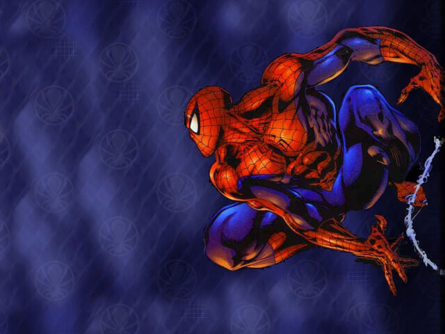 Файл:Spiderman-spider-man-3979149-1024-768.jpg