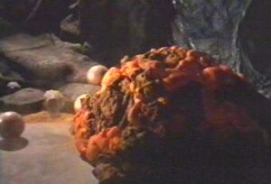 Horta1