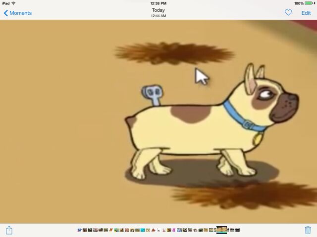 File:Dog.jpg