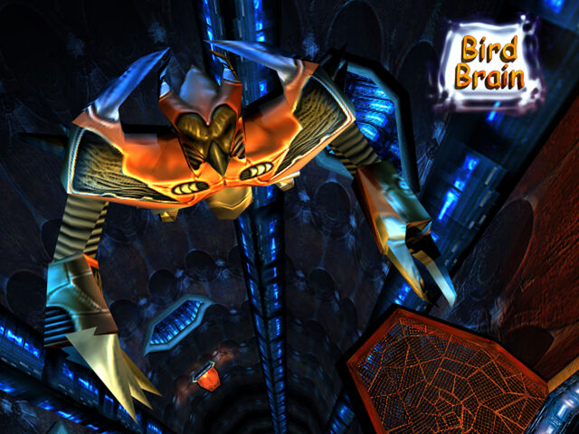File:BIRDBRAIN.jpg