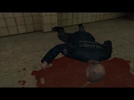 MaxPayne 2011-04-30 15-17-18-32.jpg