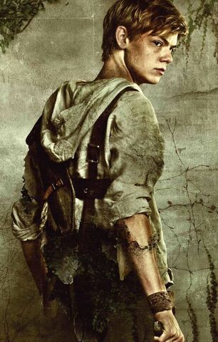 Archivo:Newt2.jpeg