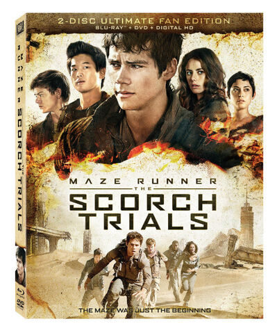 File:Thescorchtrialsdvd.jpg