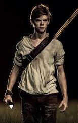 Newt.jpeg