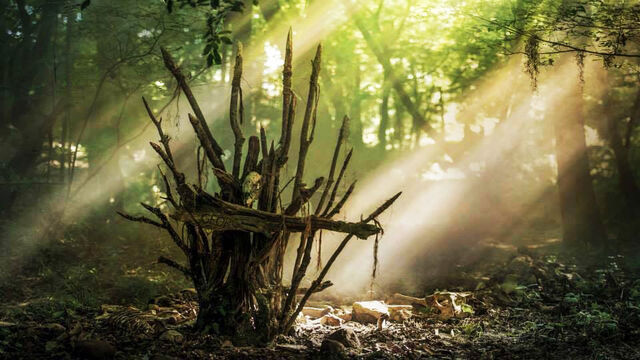 File:Mazerunner gladecemetary.jpg
