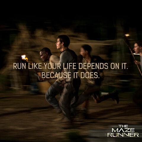 File:Mazerunner gladersrunners.jpg
