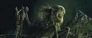 Griever-maze-runner9