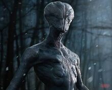 Images-0
