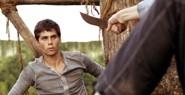 File:Mazerunner thomasthreatened.jpg