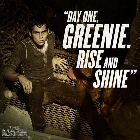 File:Mazerunner dylan thomaspromo.png