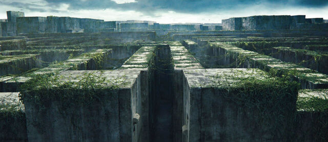 Archivo:INTRO mazerunner.jpg