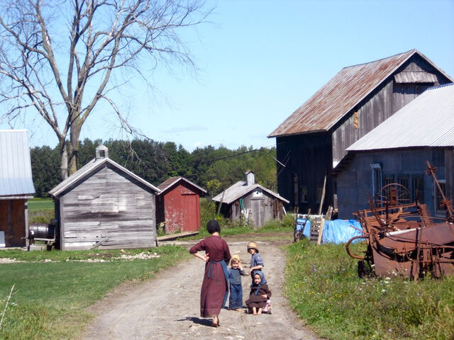 File:Farm wisdom amish.jpg