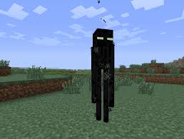 Enderzombie