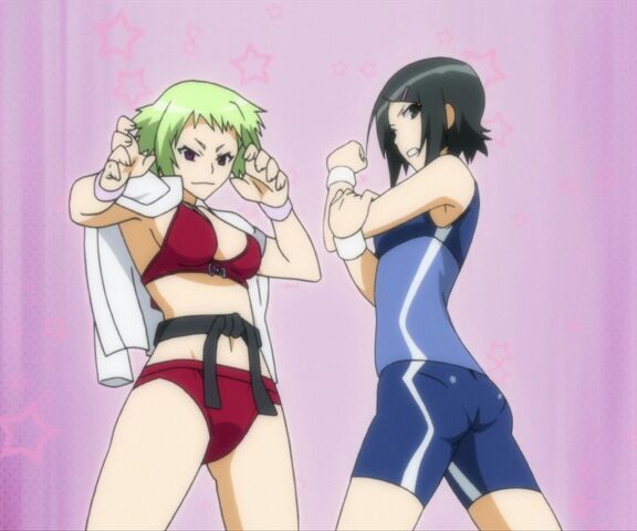 File:Nabeshima and Isahaya model.jpg