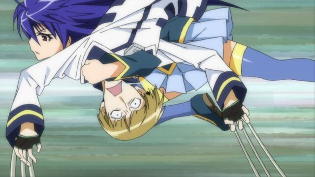 File:Medaka clotheslines Yoshinogari.jpg