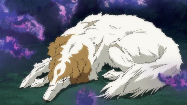 File:Borzoi.jpg