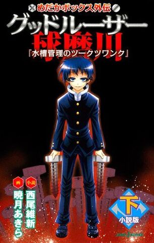File:Light Novel 4.jpg
