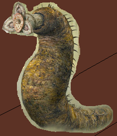 Fog worm