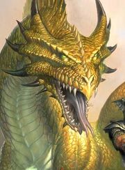 Dragongolden455