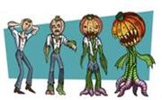 185px-Pumpkintransformation.jpg