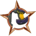 Thumbnail for version as of 20:09, January 1, 2011