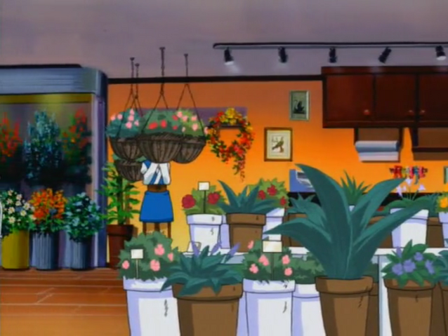 File:MMNTWFlowerShopIn.png