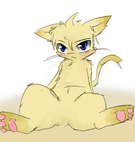 File:Kitty SFW.jpg